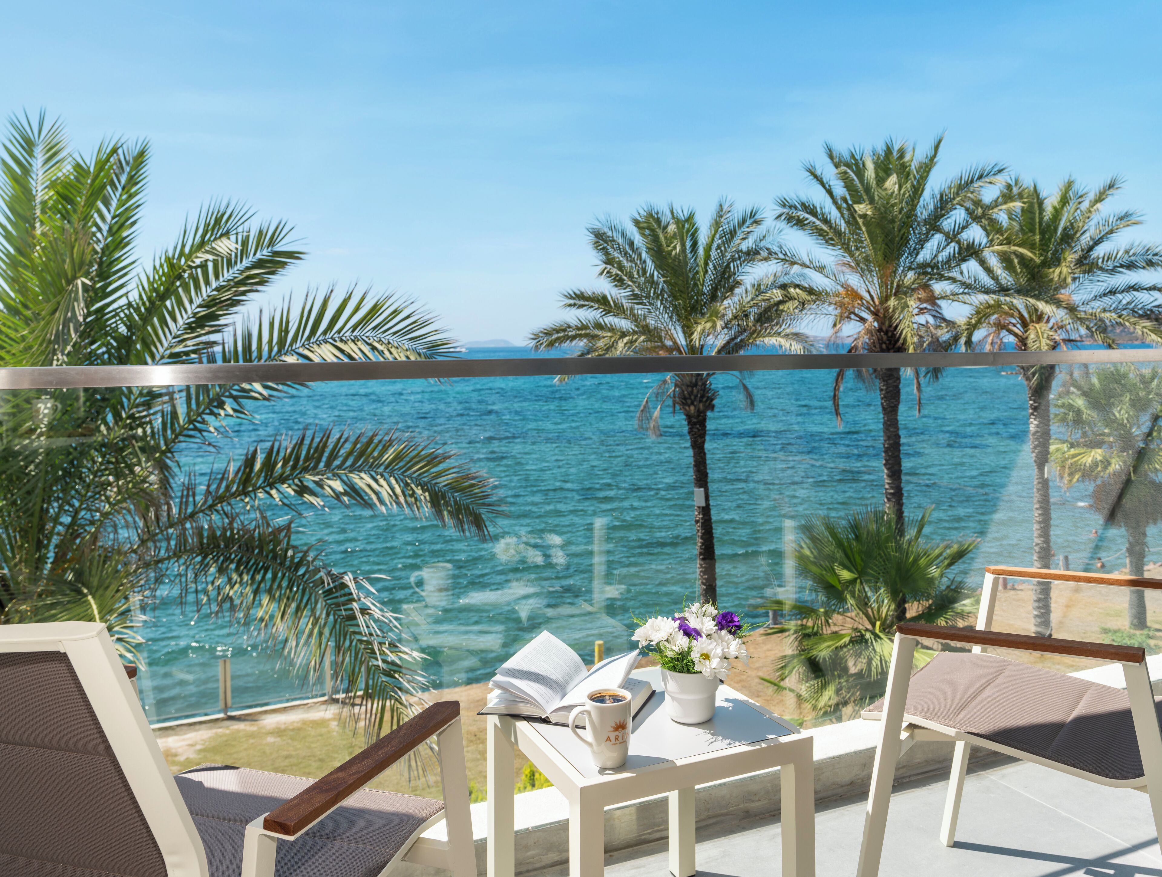 Executive suite | Terras