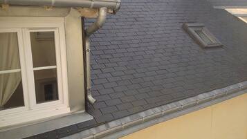 Traditional Single Attic Room | View from room