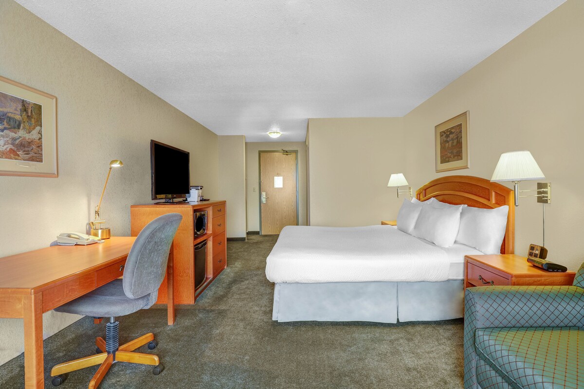 Habitación de hotel con cama, escritorio, silla, televisor y lámparas.