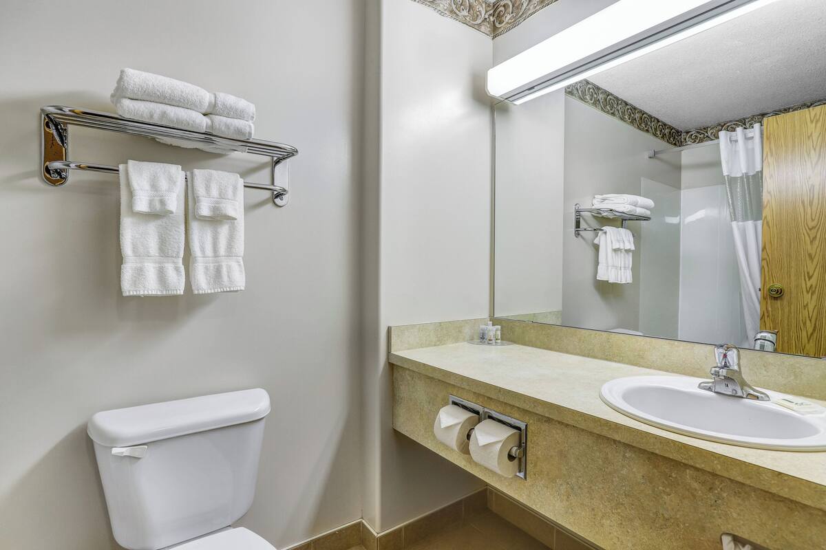 Ein Badezimmer mit Toilette, Waschbecken, Spiegel und Handtuchhalter mit Handtüchern.