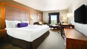 A hotel room with a large bed, a desk, a chair, a television, and a window with a view.