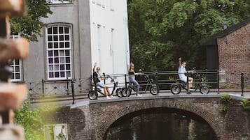 Een brug met een bakstenen boog over een gracht, omringd door groen en gebouwen.
