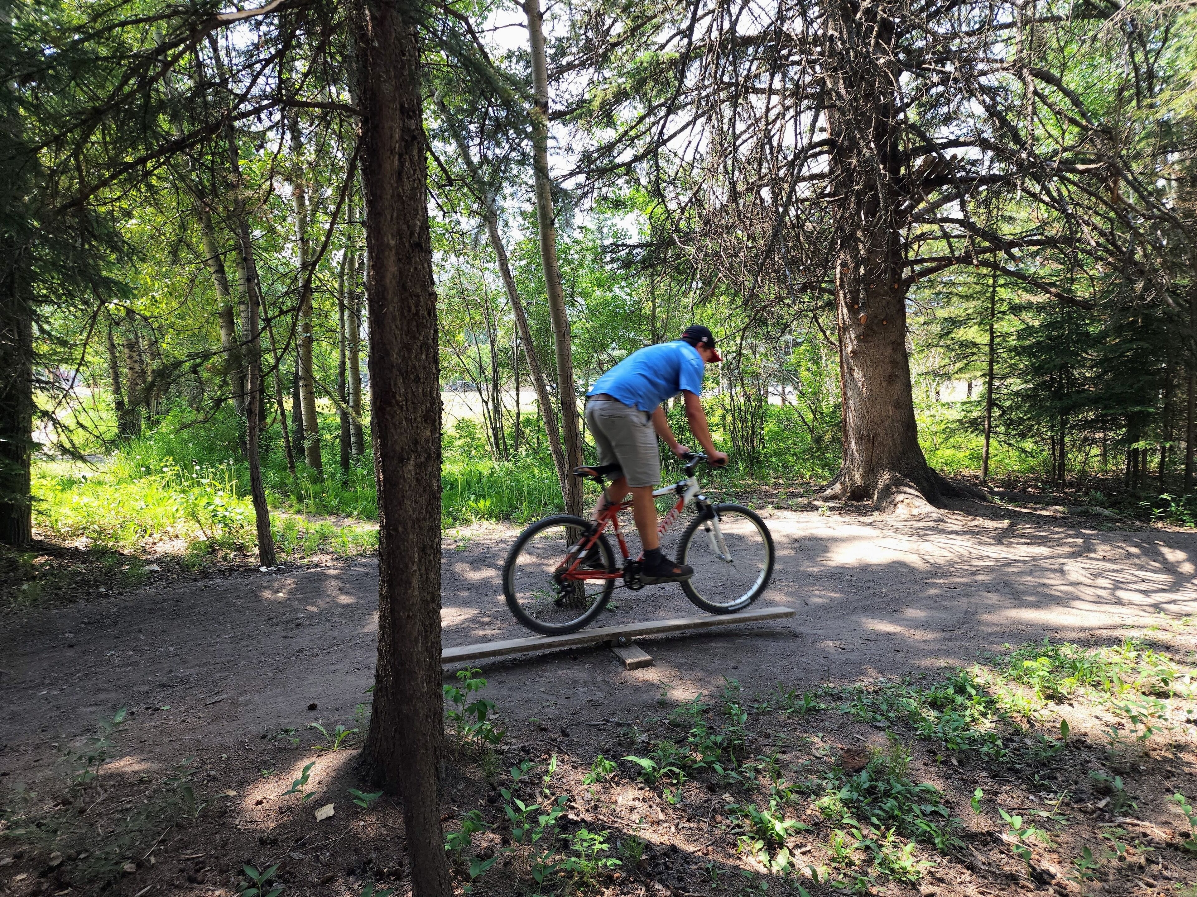 A person riding a bicycle on a dirt path in a forested area.