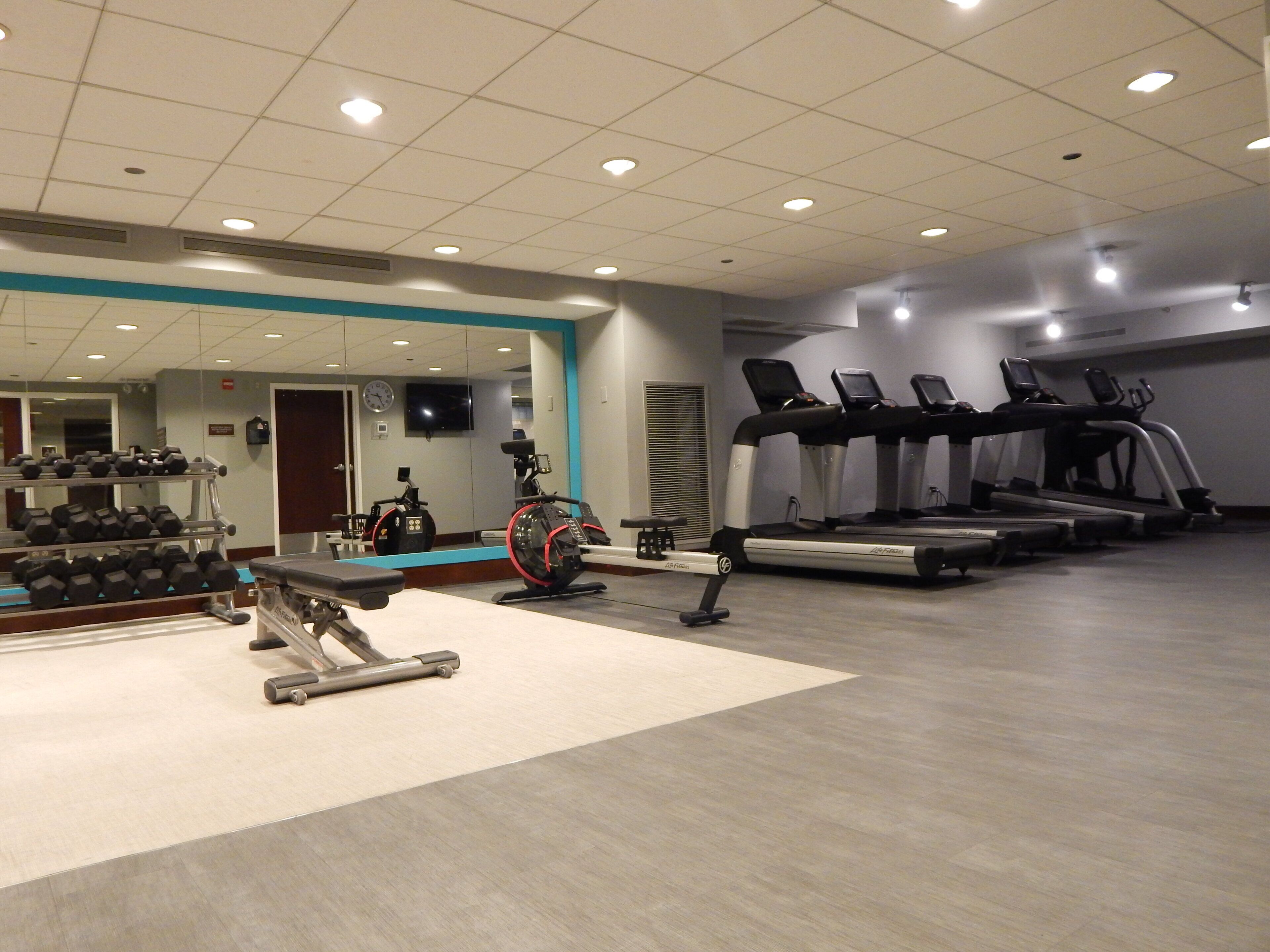 A gym with treadmills, elliptical machines, and dumbbells.