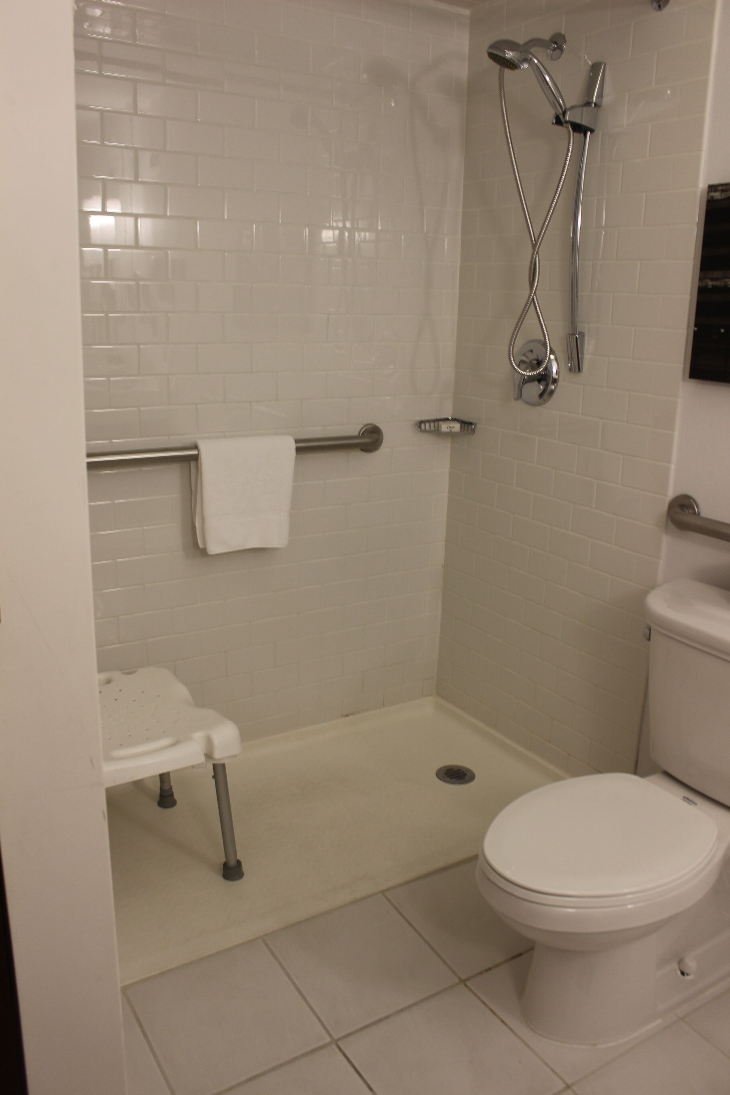 A bathroom with a white toilet, a shower with a handheld showerhead, a grab bar, and a towel rack.