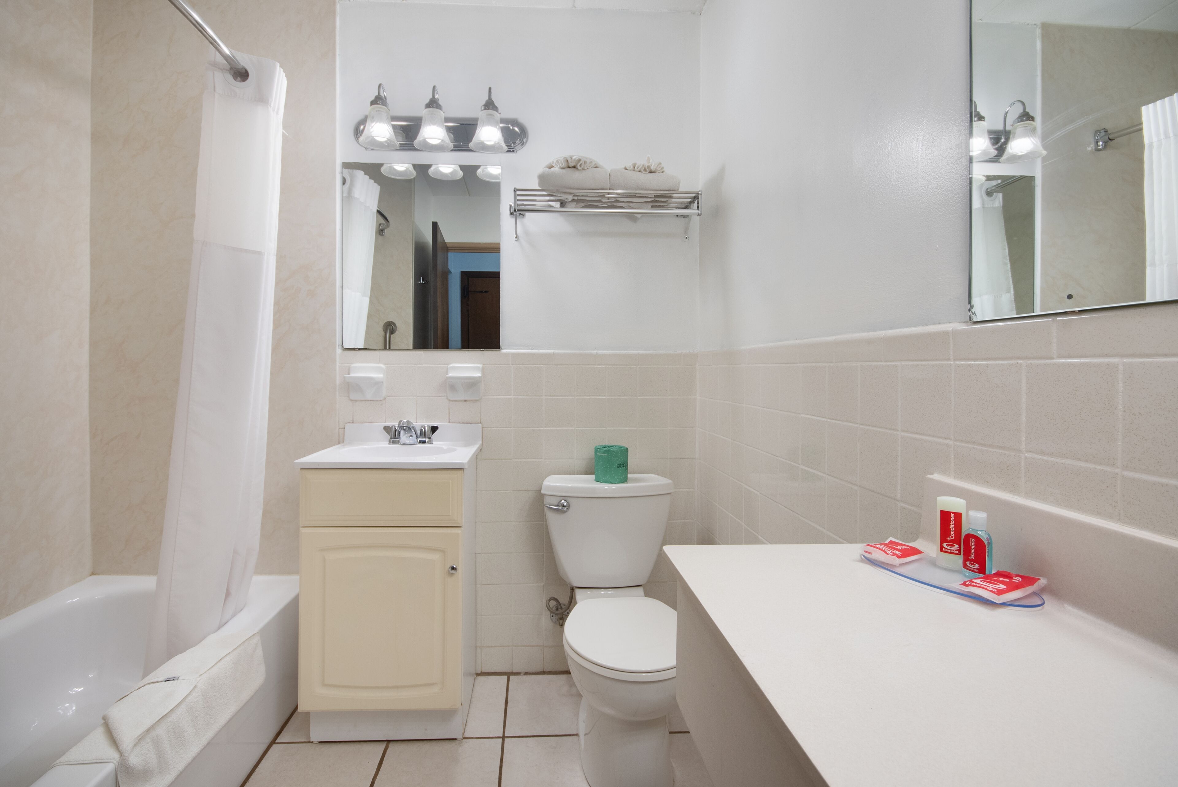 hair dryer, towels, soap, shampoo