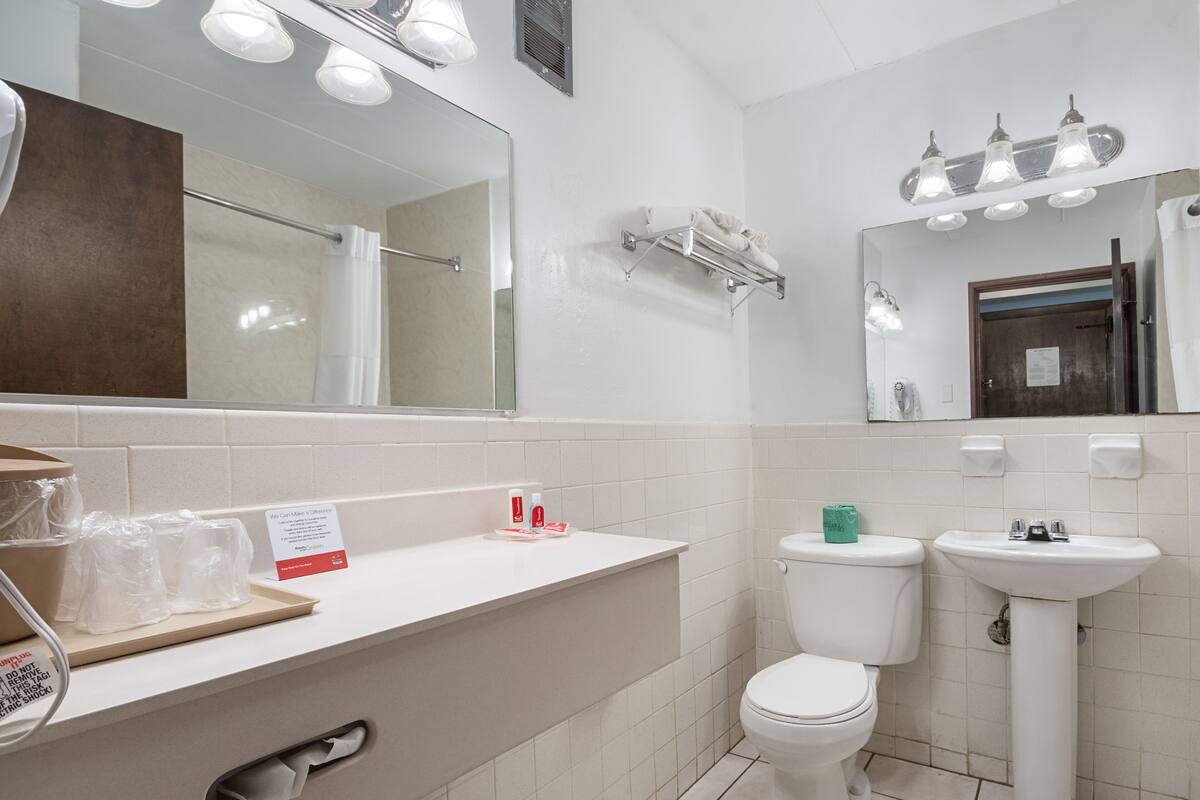 hair dryer, towels, soap, shampoo