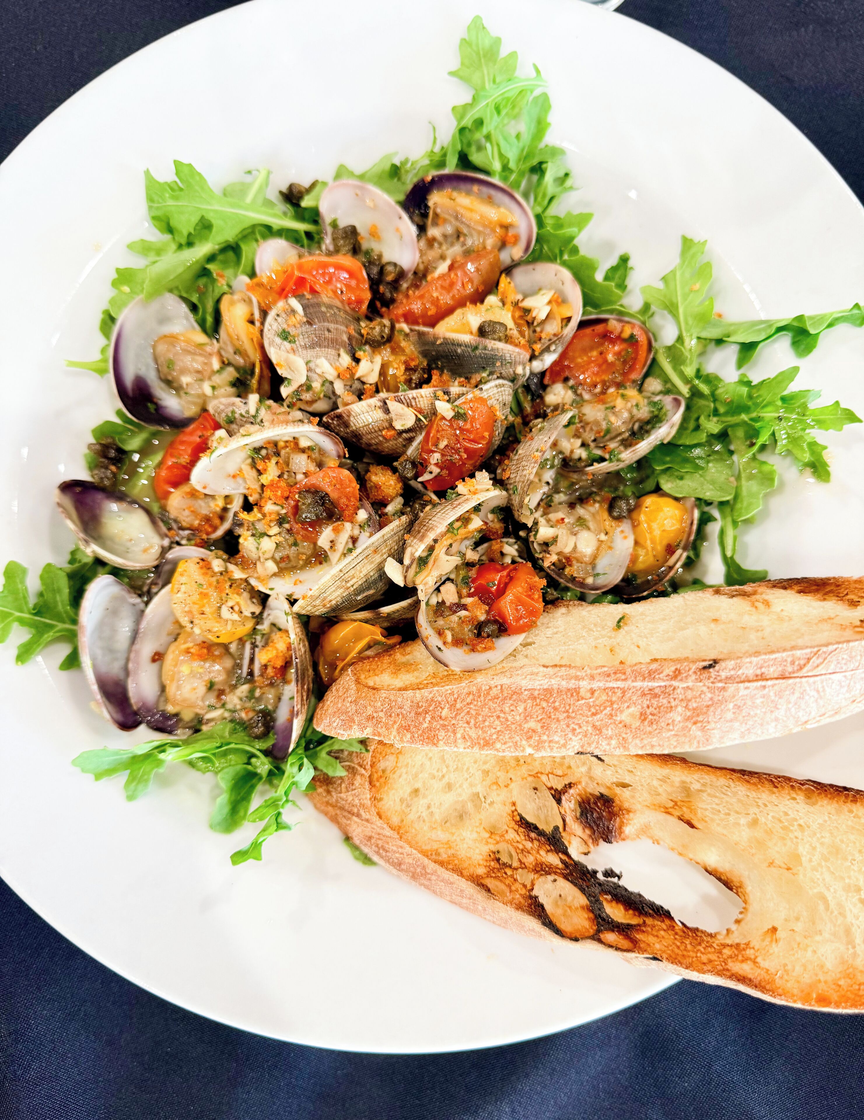 A plate of clams with bread on a white plate.