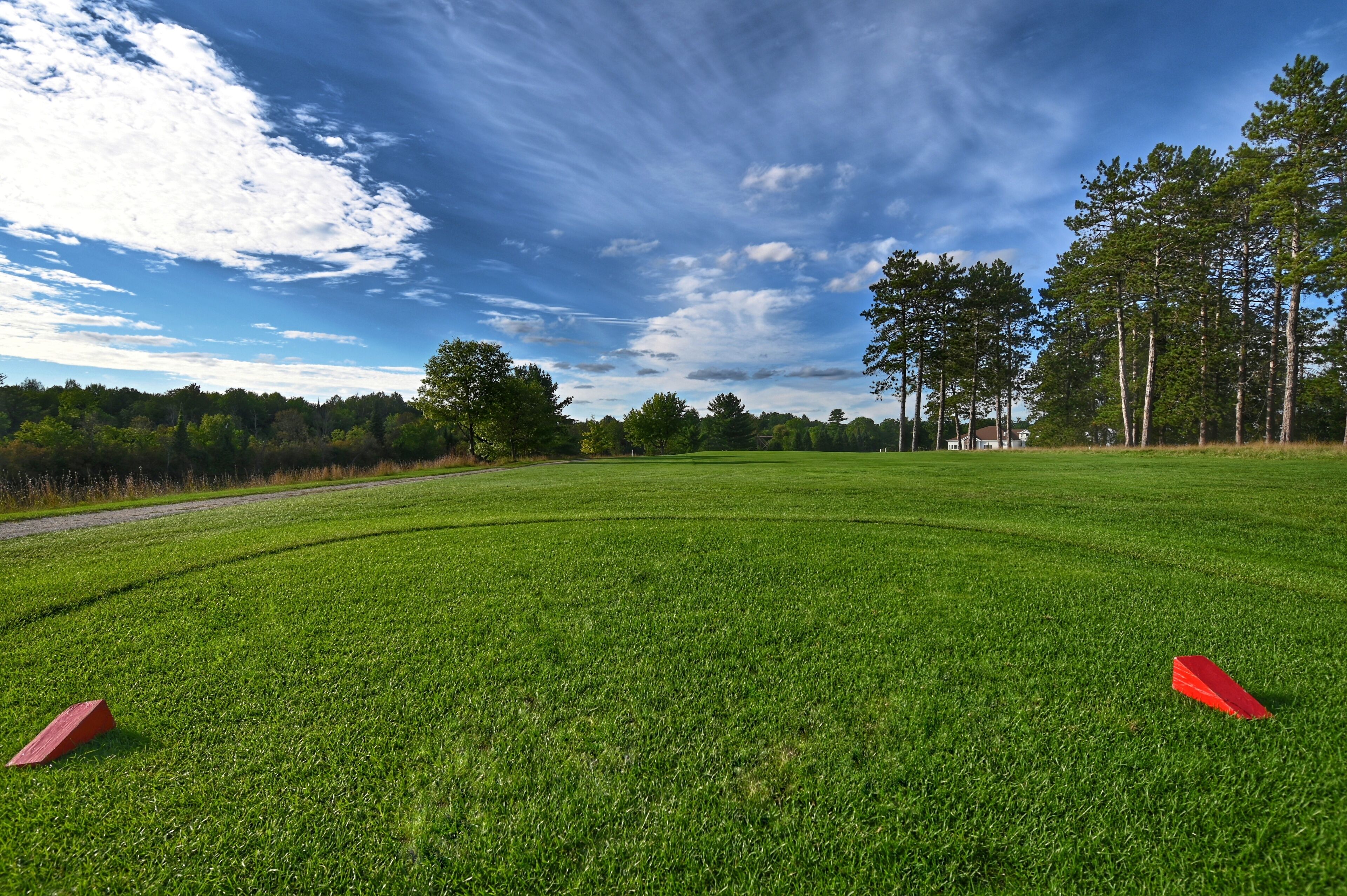 Ein grünes Feld mit blauem Himmel und Bäumen im Hintergrund.