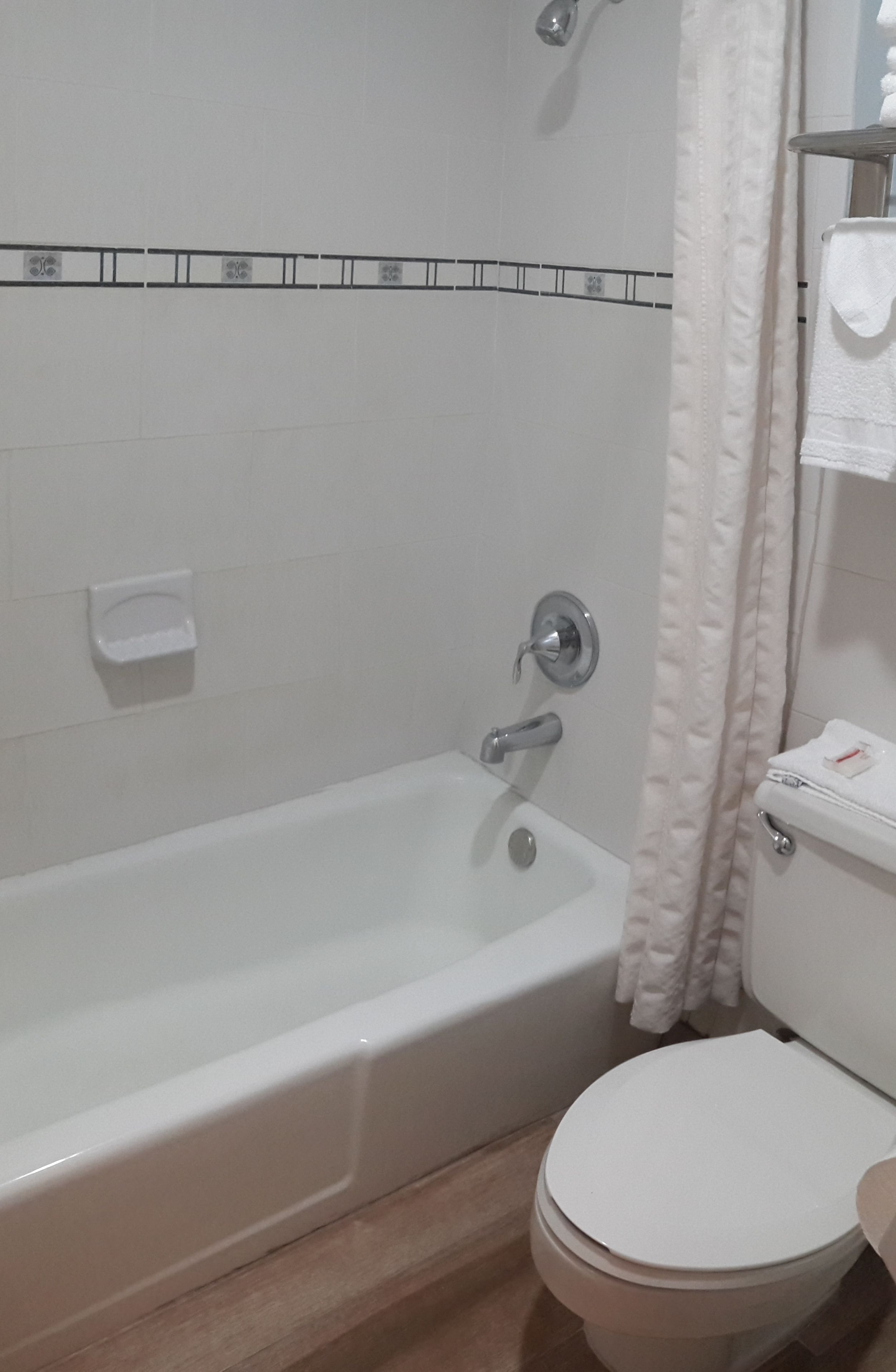 A bathroom with a bathtub, toilet, and a shower curtain.
