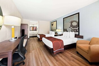 Super 8 By Wyndham Florida City/Homestead/Everglades