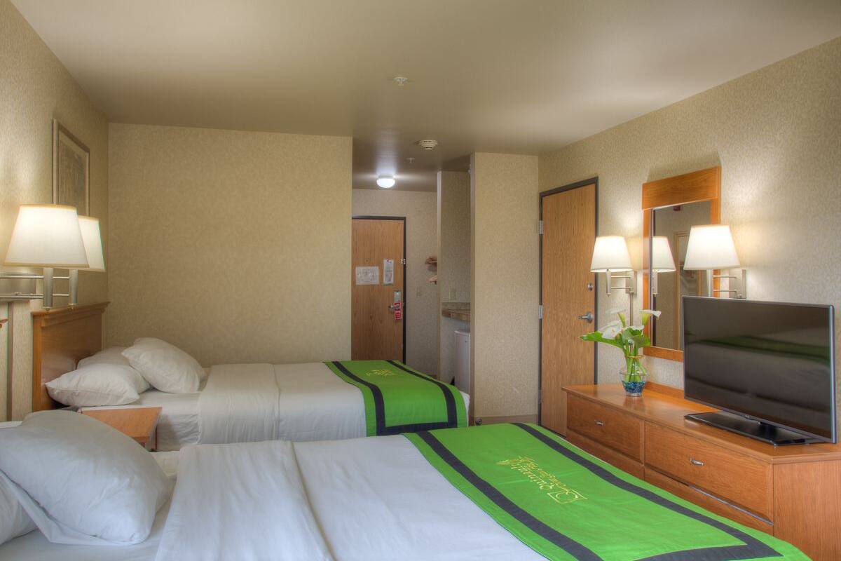 Room, 2 Queen Beds (no view) | In-room safe, iron/ironing board, free WiFi, bed sheets