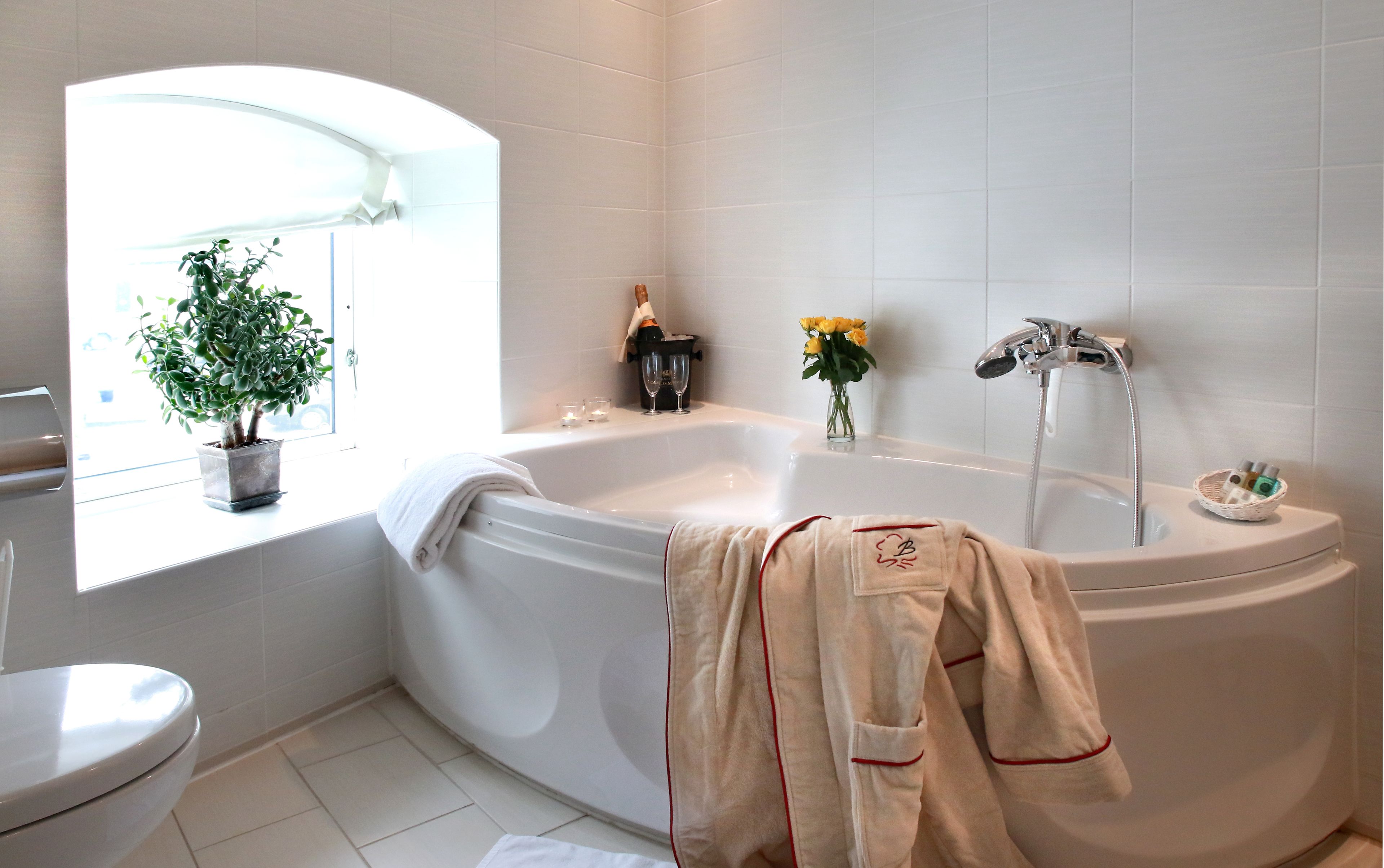 suite | bathroom | shower, free toiletries, hair dryer, towels