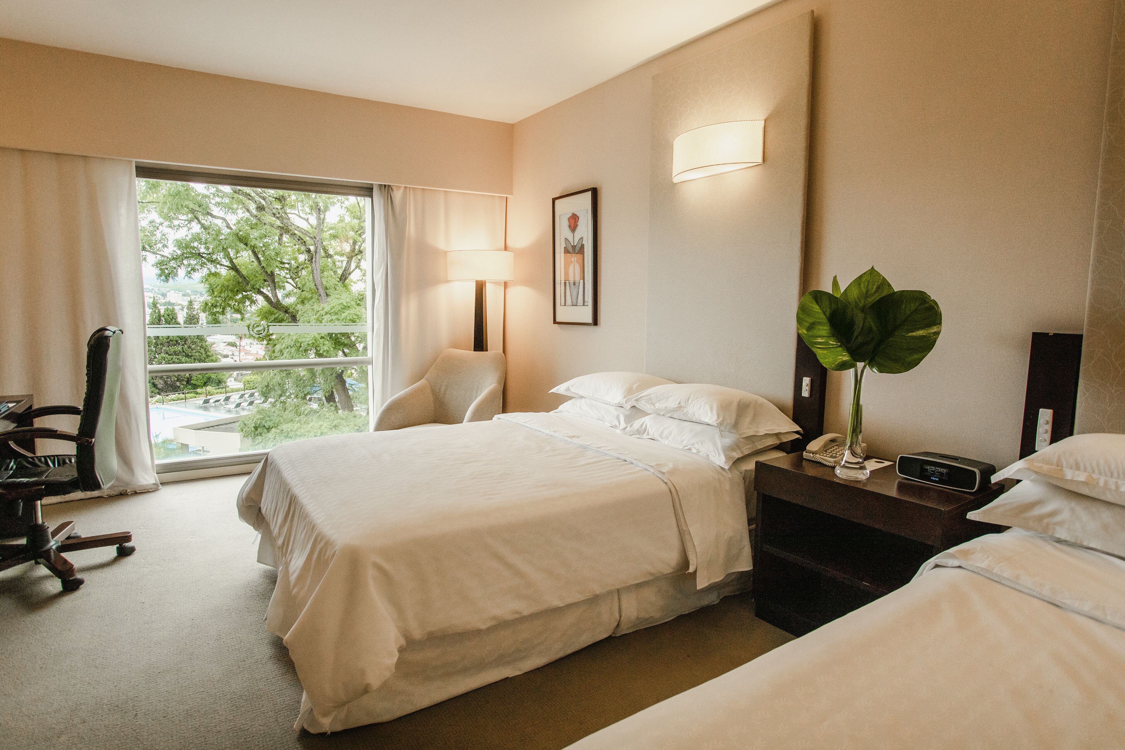 Una habitación de hotel con una cama, una silla, un escritorio con lámpara, teléfono y una planta.