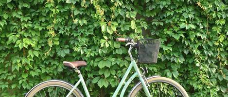 A stationary bicycle with a basket, parked against a dense green leafy background.