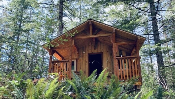Une cabane en bois dotée d’un porche, entourée d’une forêt dense et de fougères.
