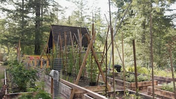 Ulkopuoli