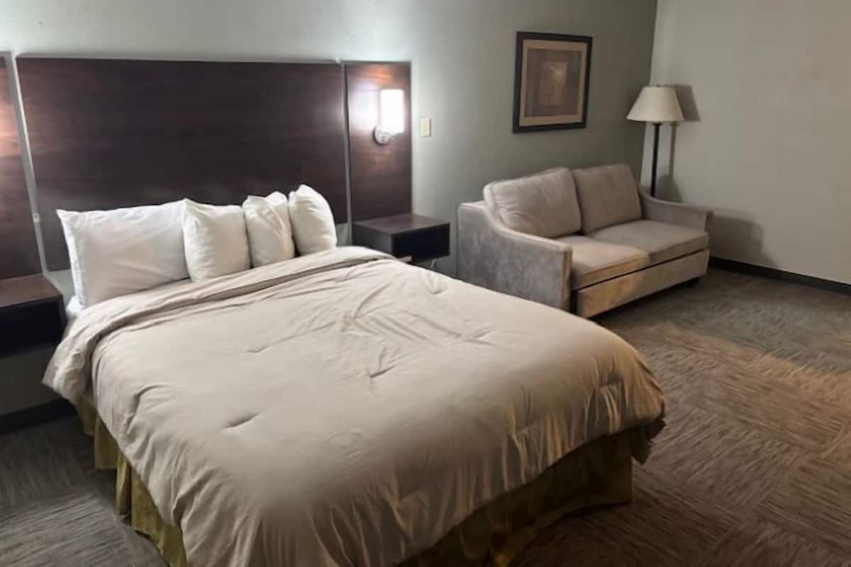 A hotel room with a large bed, a sofa, a nightstand, and a lamp.
