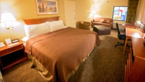 Una habitación de hotel con una cama grande, un escritorio, una silla y un sofá.