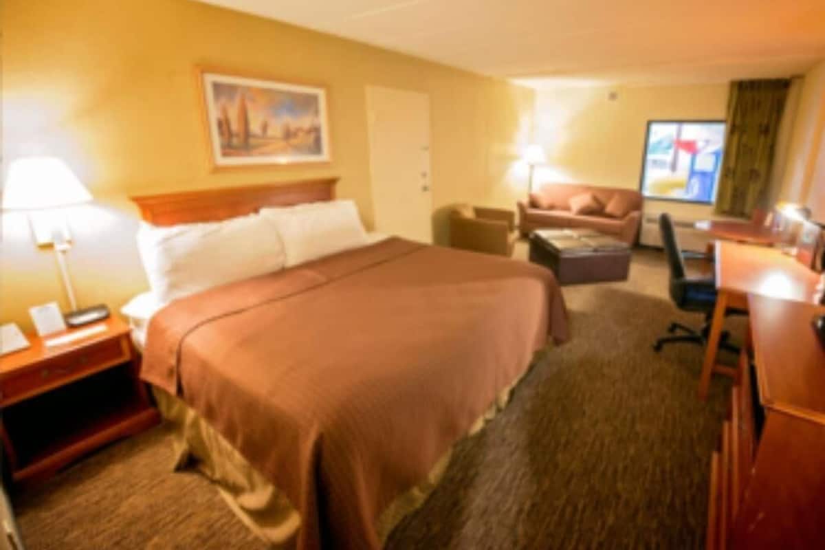 A hotel room with a large bed, a desk, a chair, and a sofa.