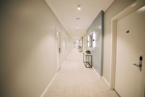 A hotel hallway with a carpeted floor, doors numbered 40, and a small table with a plant.