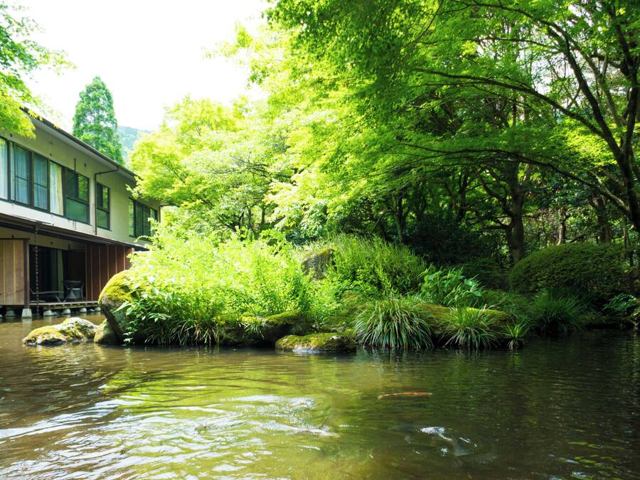 Un ambiente tranquillo lungo il fiume, con vegetazione rigogliosa e un edificio adiacente all'acqua.