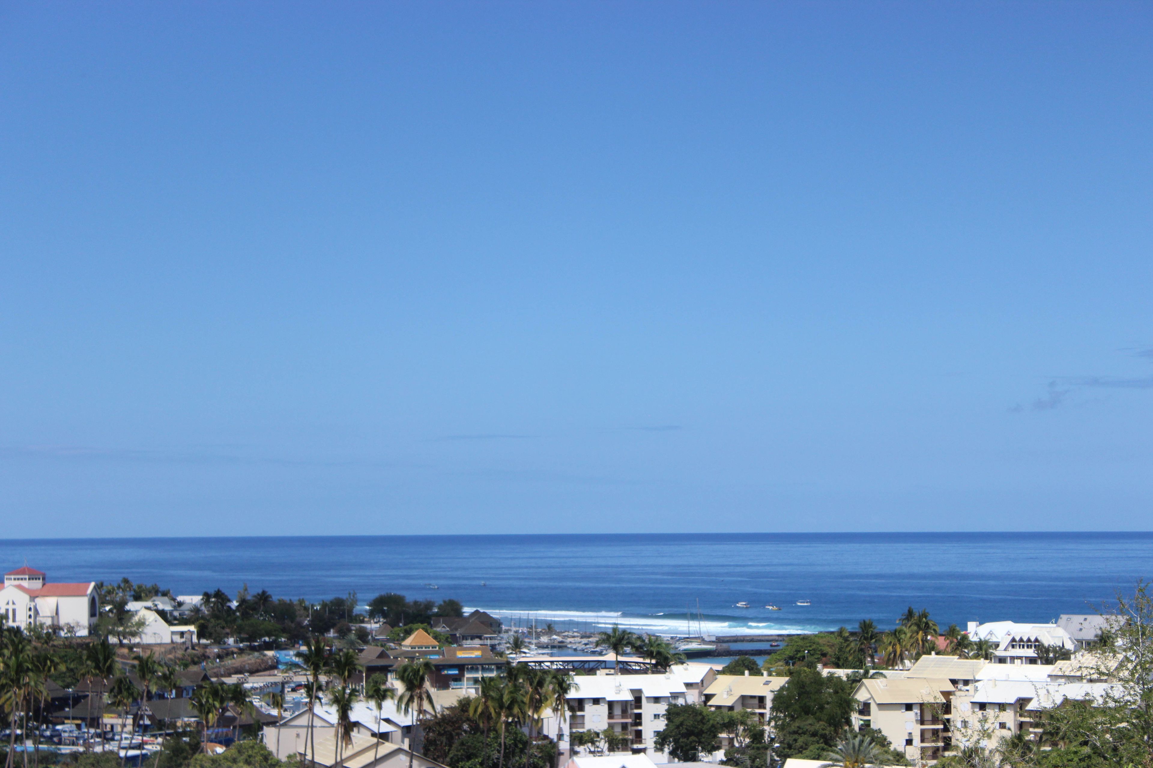 A coastal town with buildings, palm trees, and the ocean.