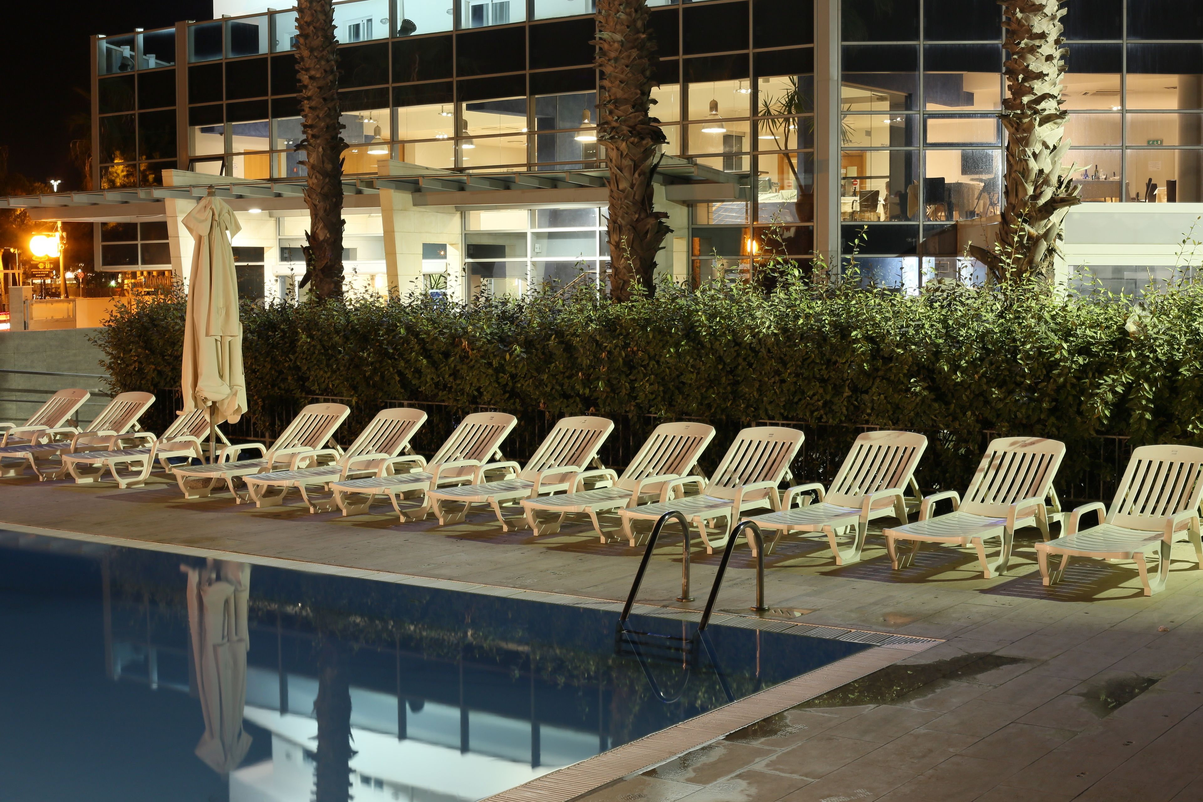 Un espace aménagé au bord de la piscine, avec des chaises longues et un palmier.