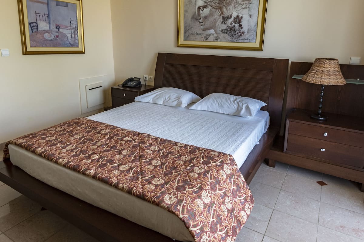 Double or Twin Room, Mountain View | 1 bedroom, in-room safe, desk, free cots/infant beds