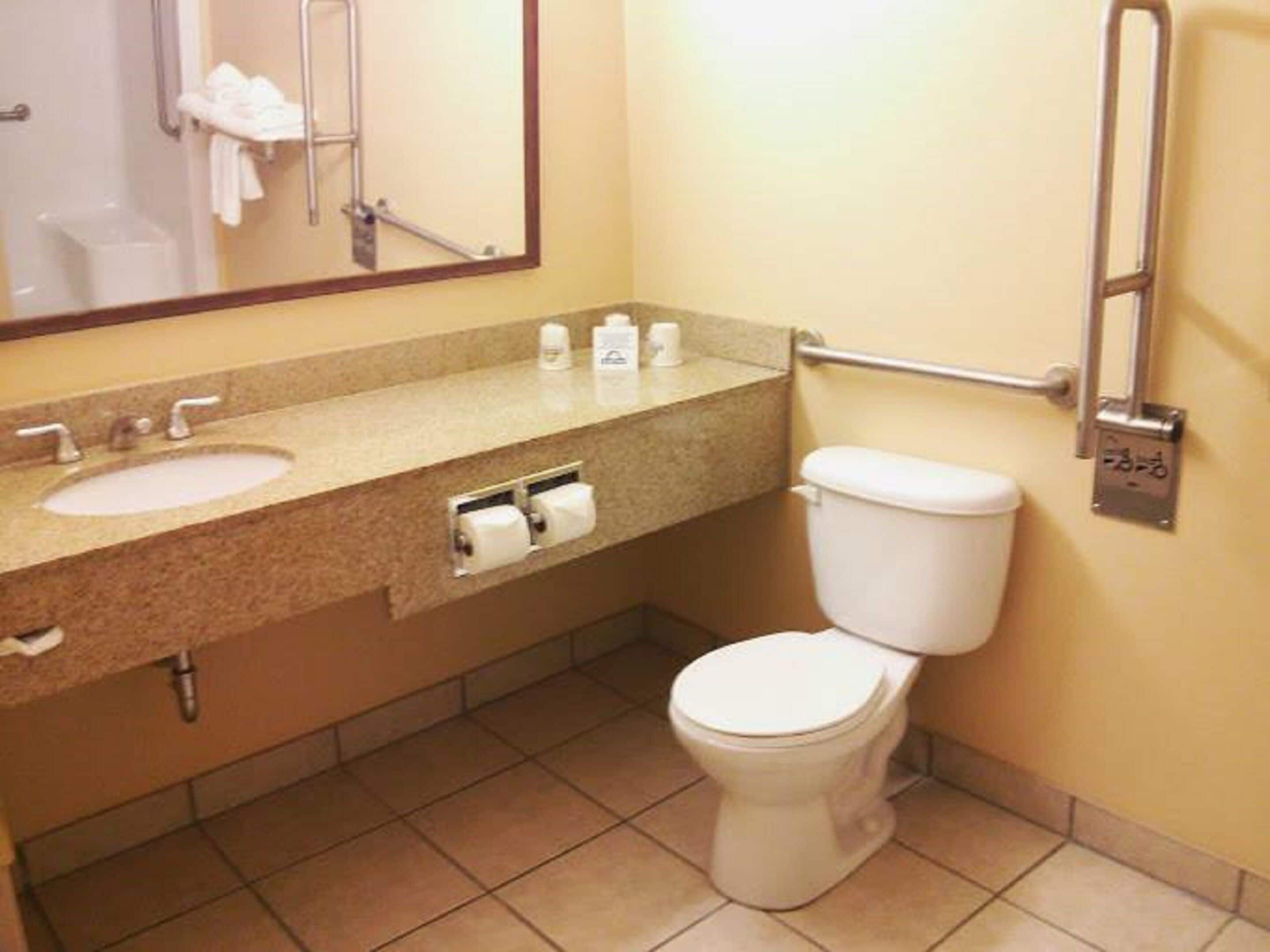 combined shower/bathtub, free toiletries, hair dryer, towels