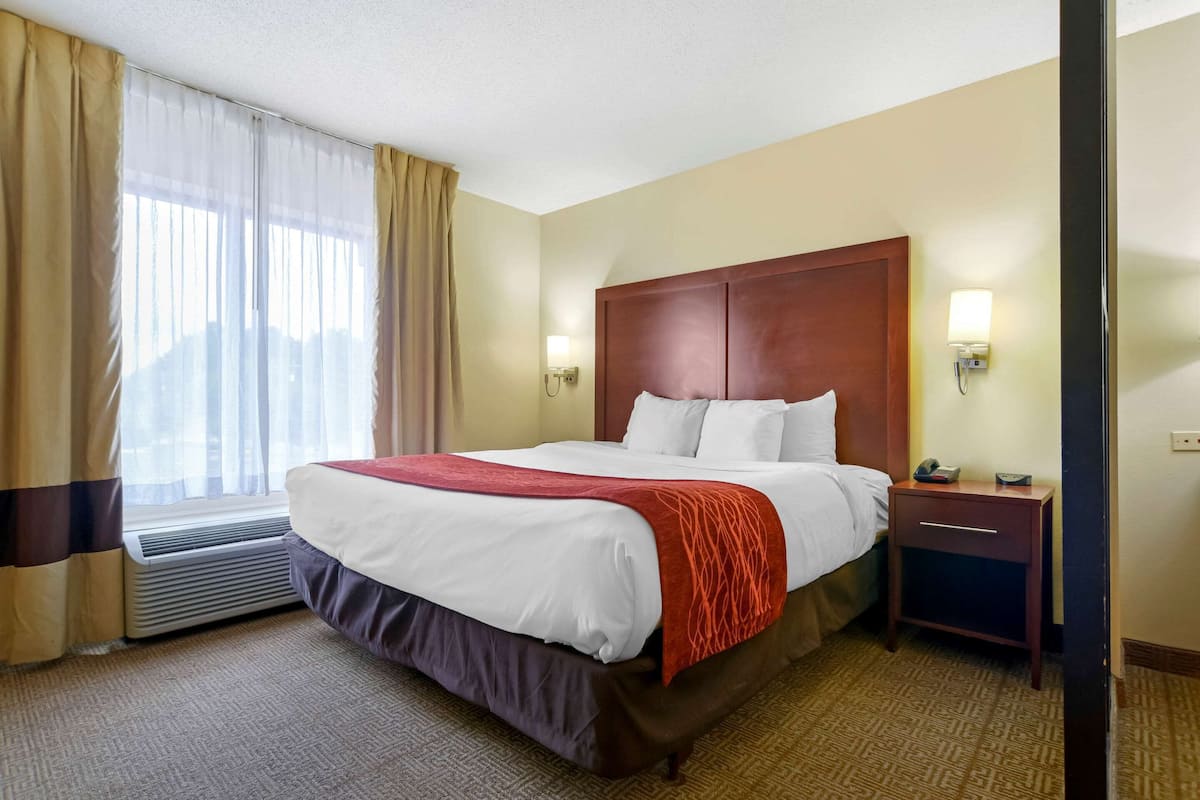 Une chambre d’hôtel avec un grand lit, une table de chevet avec une lampe et une fenêtre avec des rideaux.