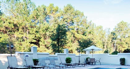 Fairfield Inn & Suites Charleston North/Ashley Phosphate