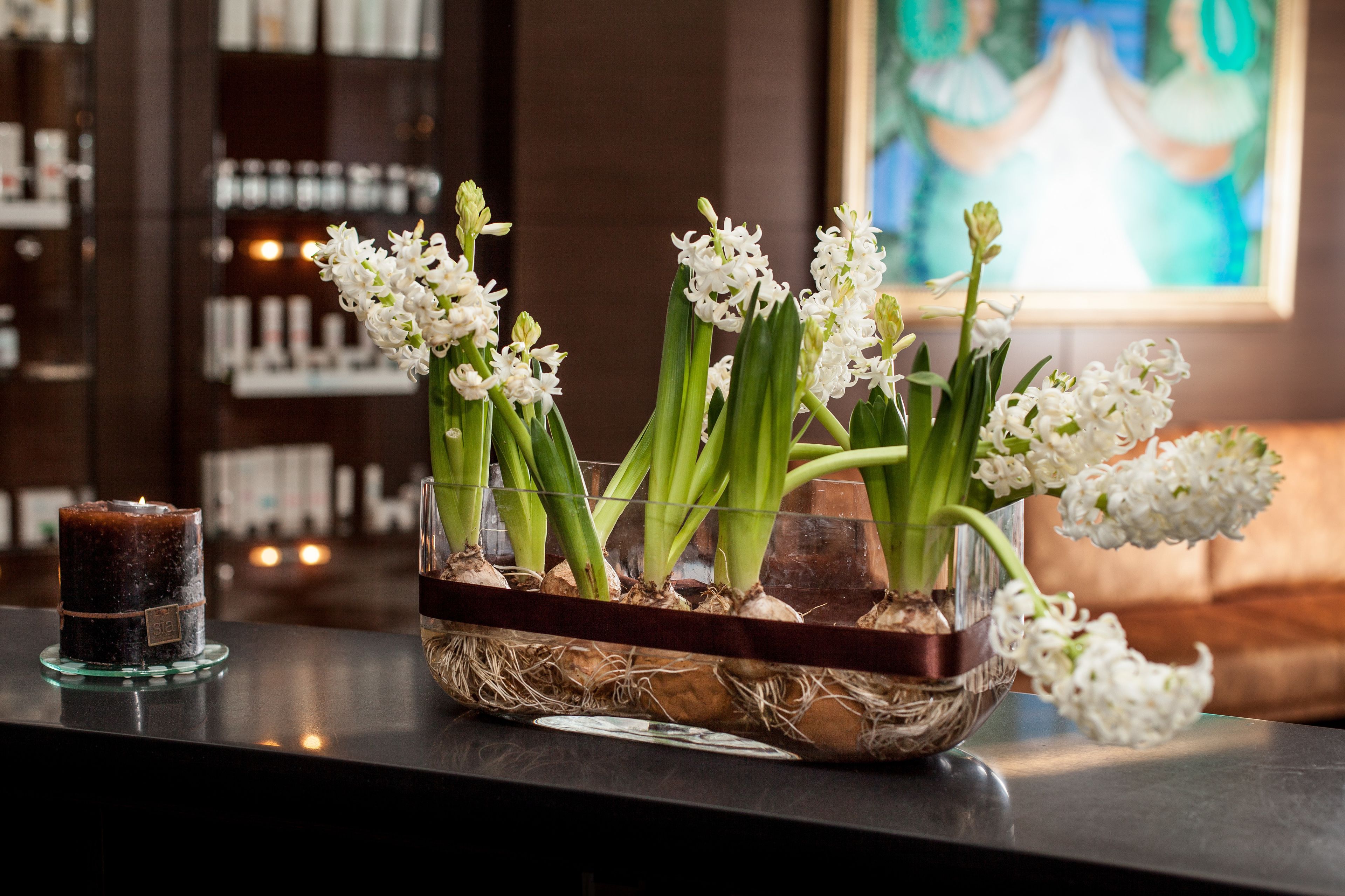 A glass vase with white flowers on a counter.