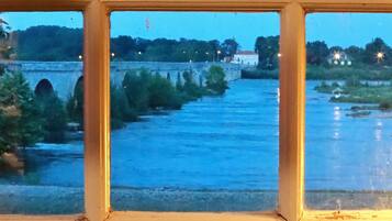 Un río con un puente y vegetación al fondo.