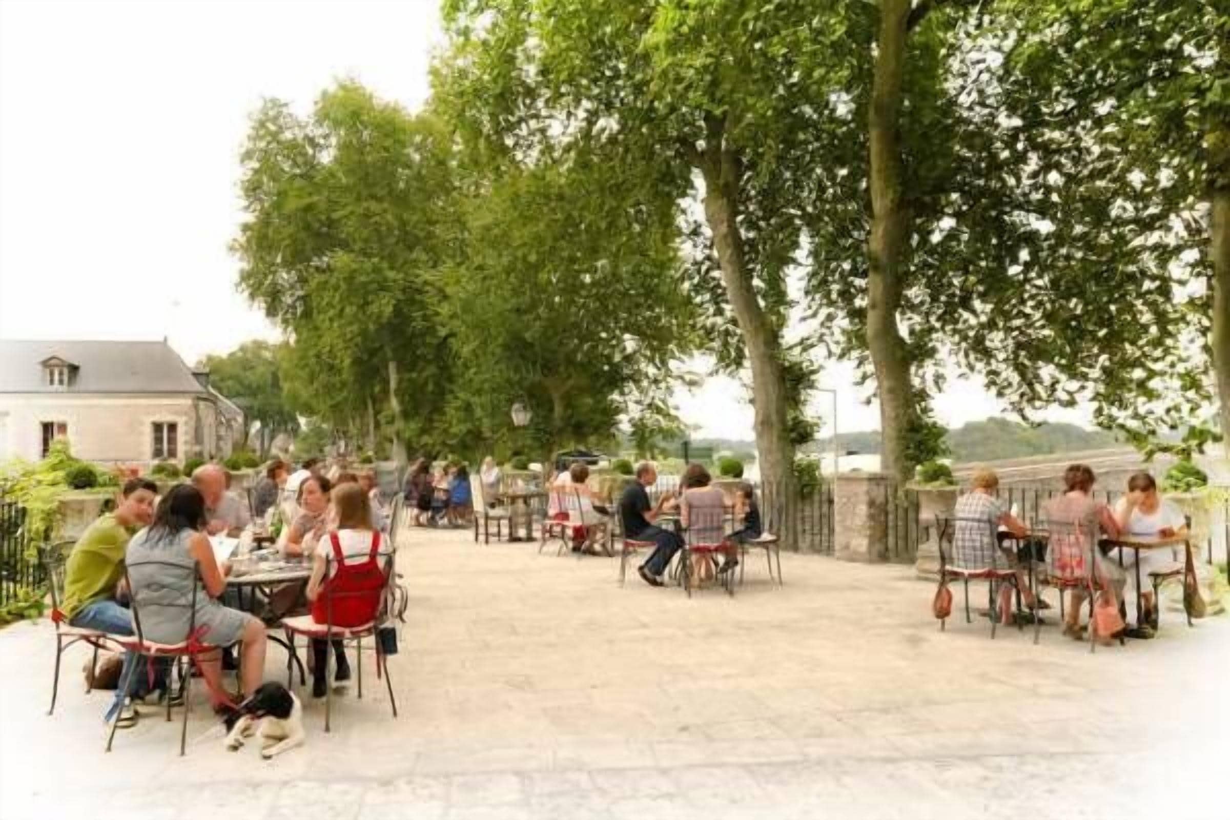 Café al aire libre con mesas y sillas dispuestas bajo árboles, con vistas a un cuerpo de agua.