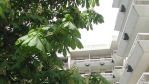 A multi-story building with balconies and a tree with green leaves and pink flowers in front. - Les Palatines - Residence (Saint-Etienne)