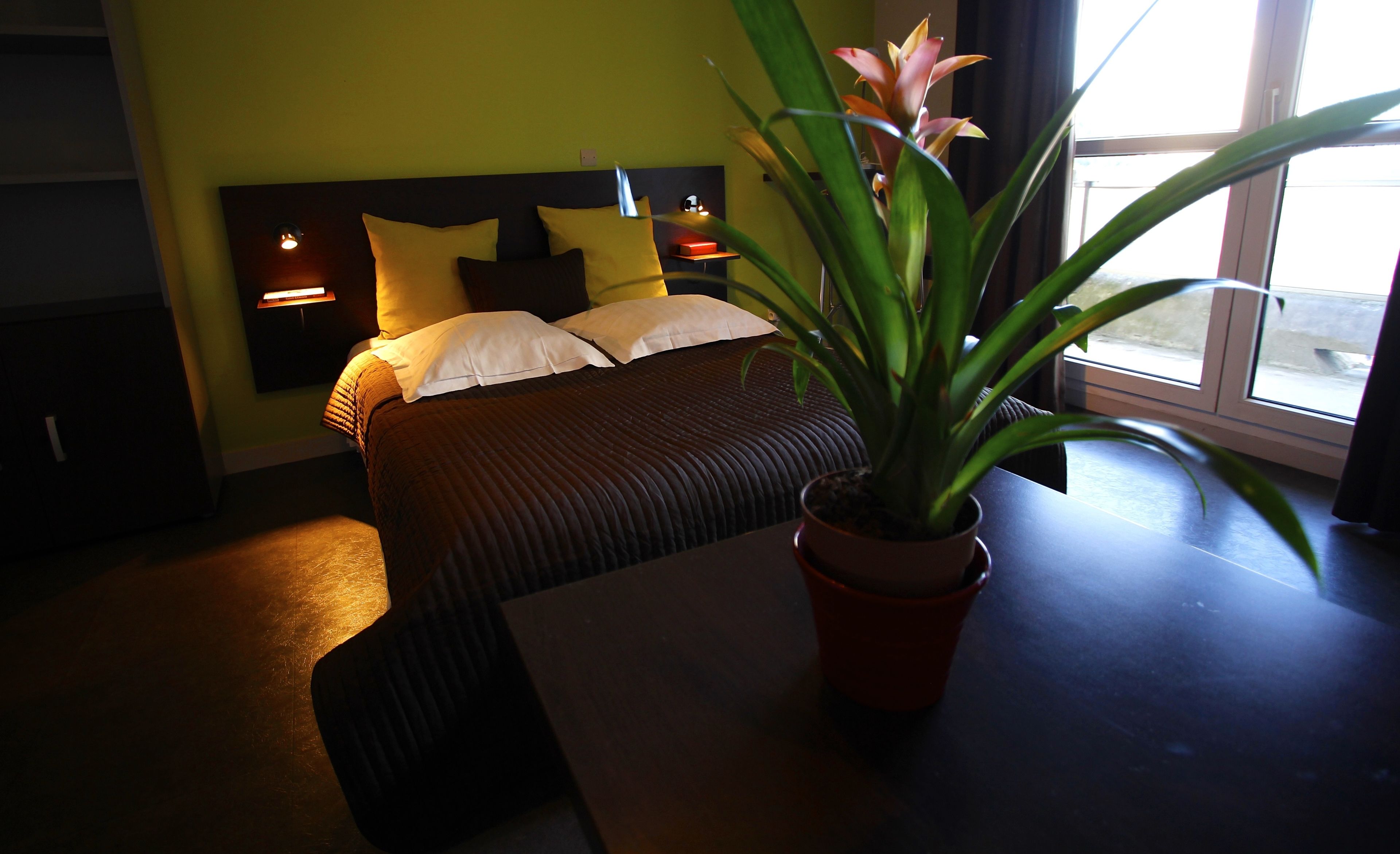 Una habitación de hotel con una cama, lámparas de noche, una planta en maceta y una ventana.