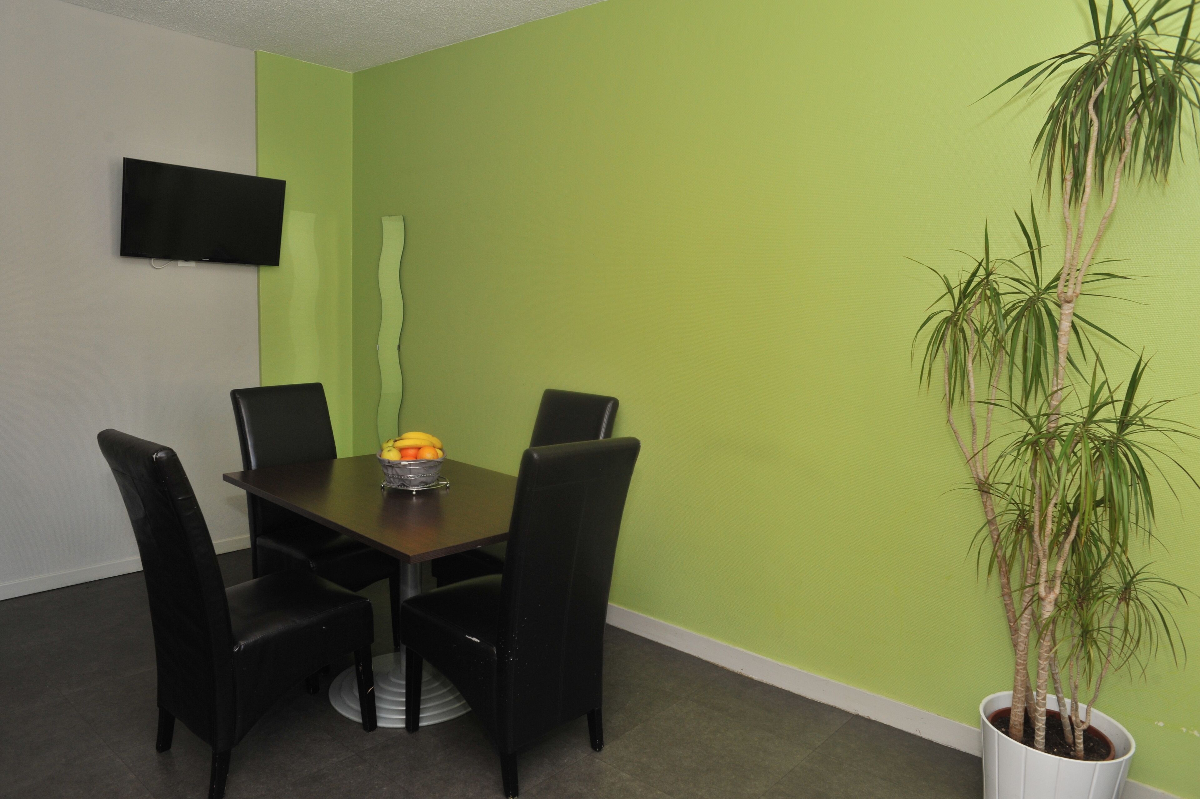 A dining area with a table and chairs, a potted plant, and a flat-screen TV mounted on the wall.