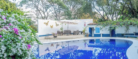 Alberca al aire libre y camastros