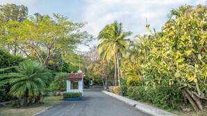 A paved road flanked by lush greenery and palm trees, leading to a small white building with a tiled roof. - Hotel Aeropuerto (San Antonio)