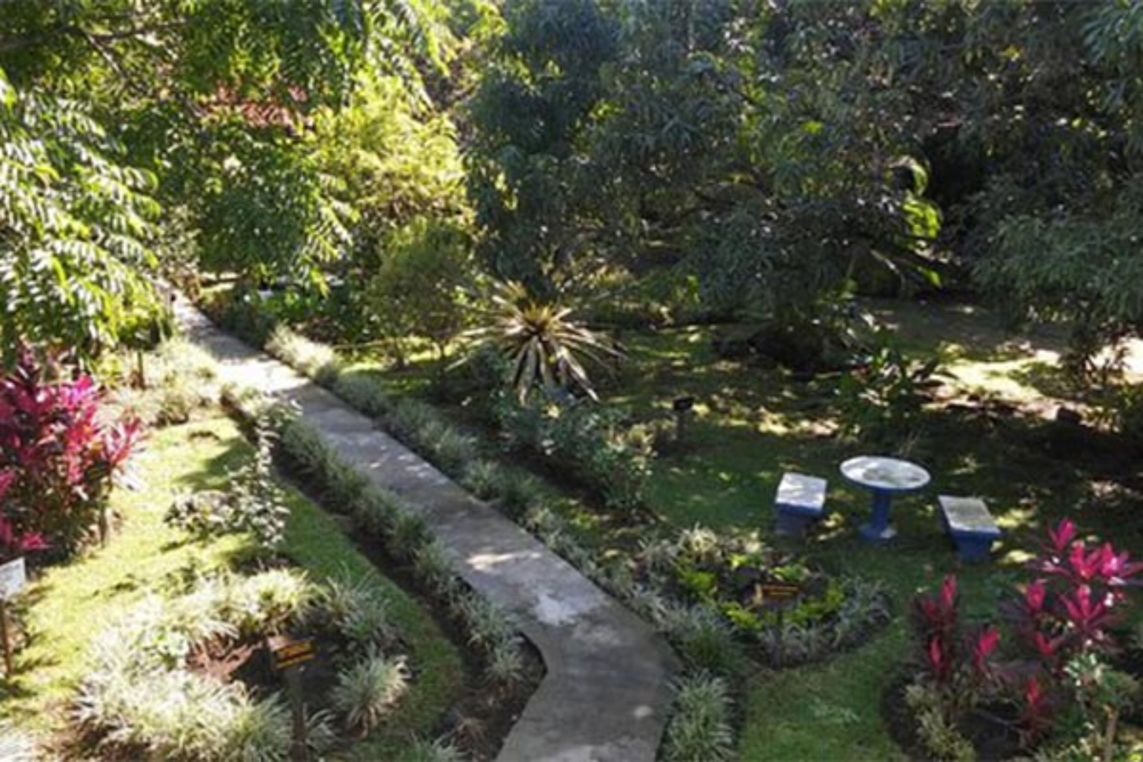 garden