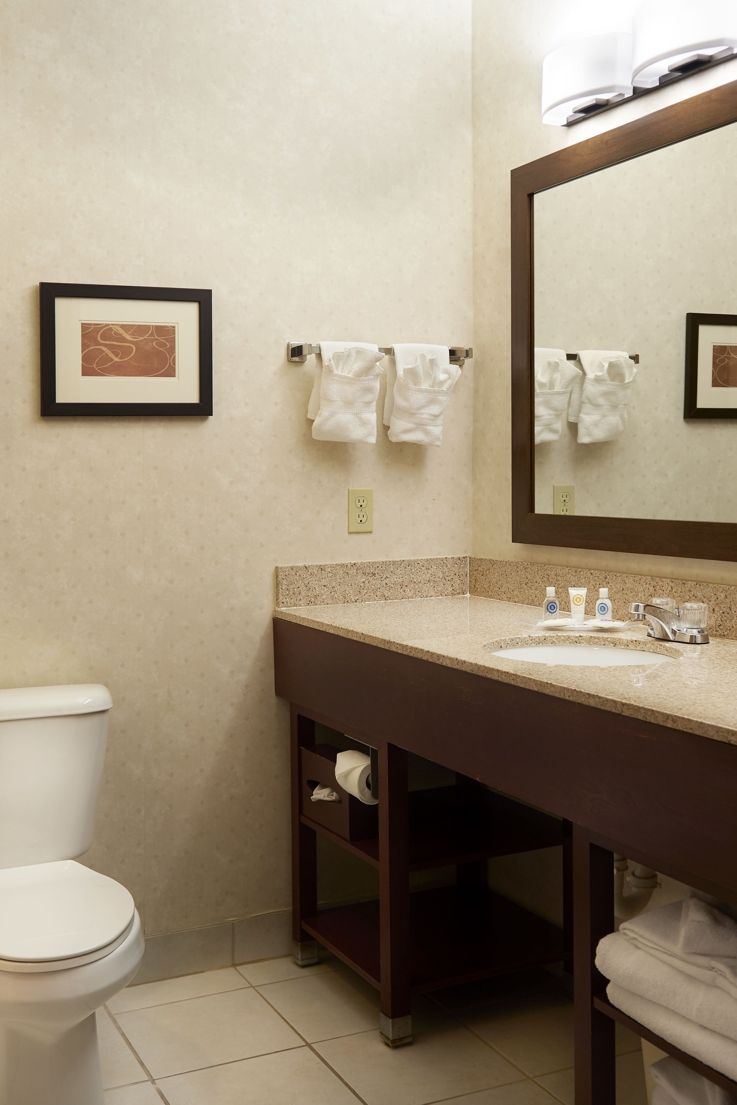 A bathroom with a toilet, sink, mirror, towel rack, and framed artwork on the wall.