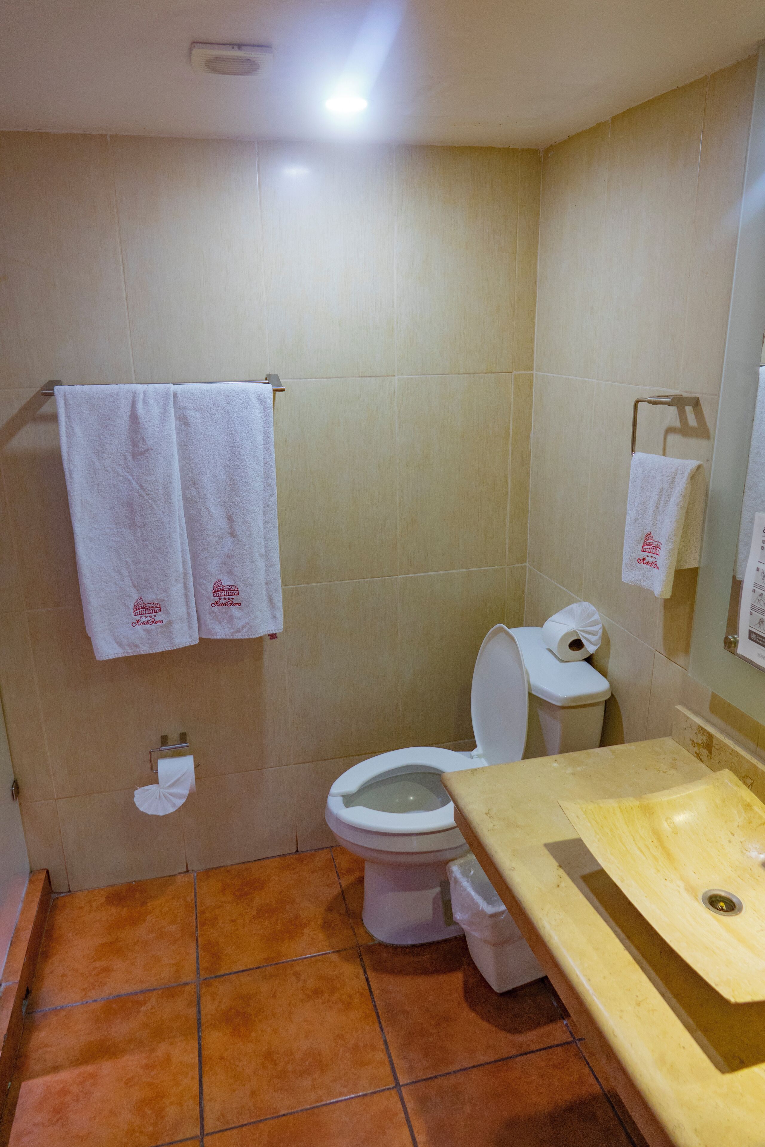 standard single room, 1 double bed | bathroom | shower, free toiletries, hair dryer, towels