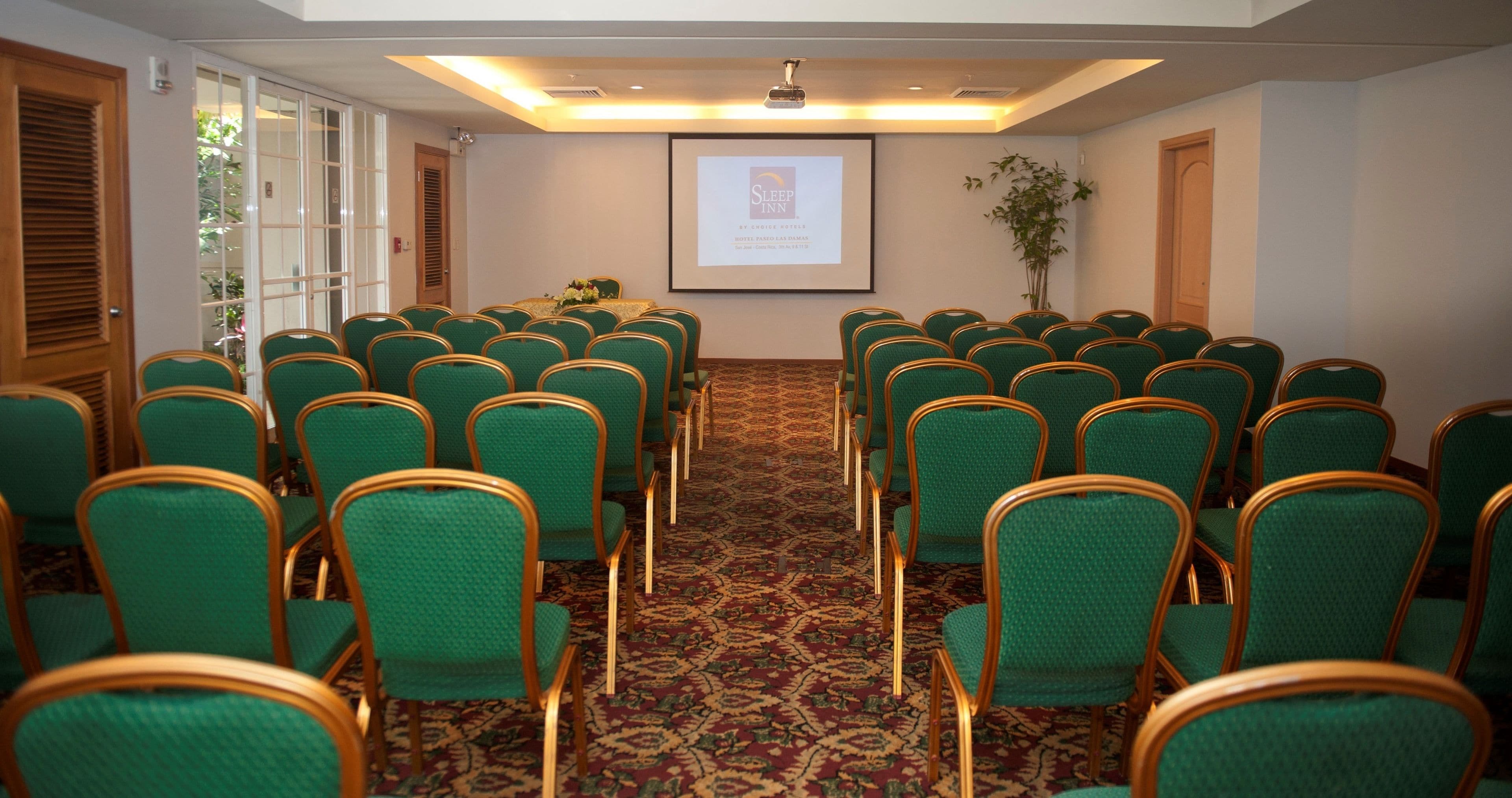 Un salón de conferencias con filas de sillas verdes, piso alfombrado, una pantalla de proyector y una planta.