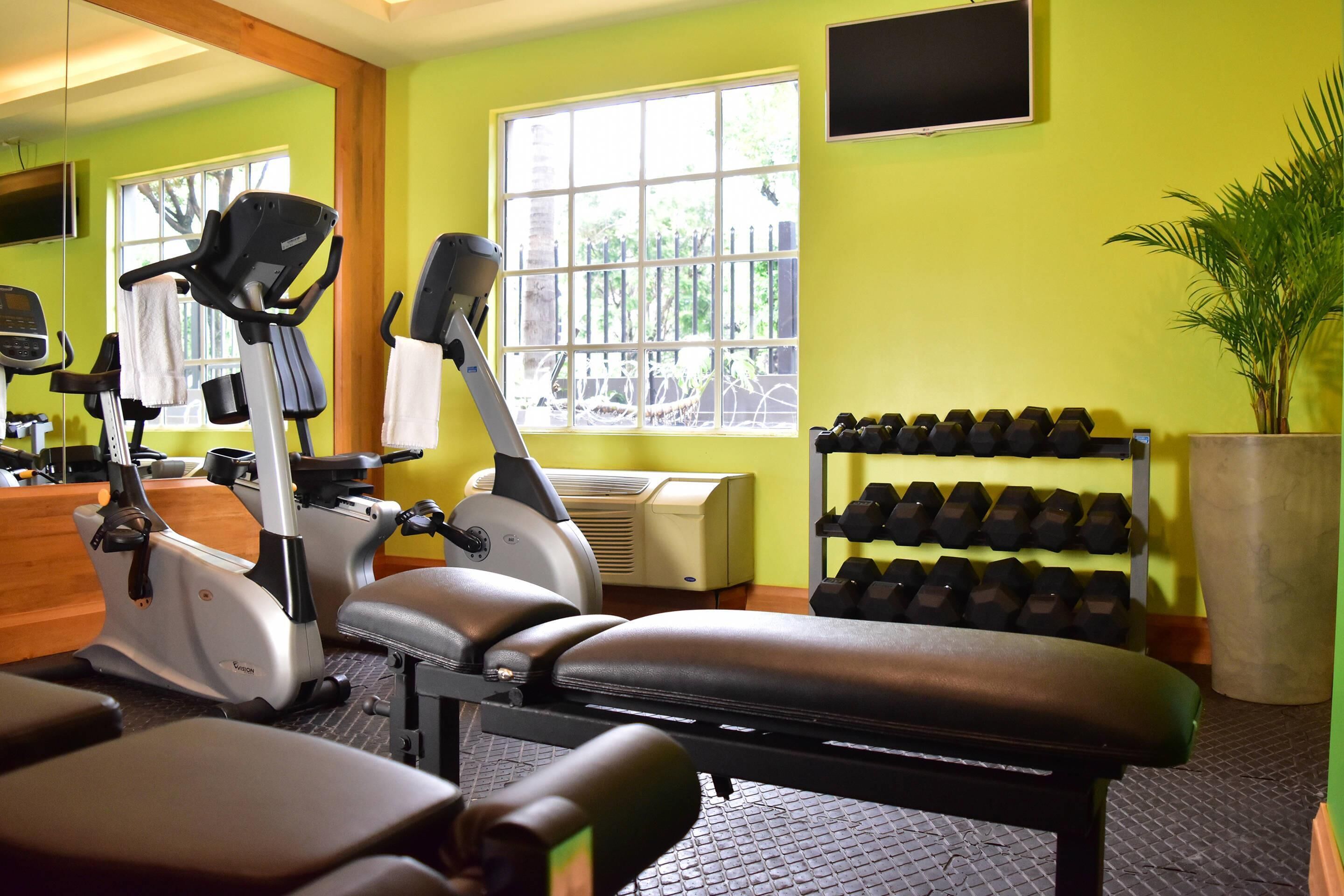 Gimnasio interior con equipo de ejercicio, una banca, mancuernas y un ventanal con vistas a zonas verdes.