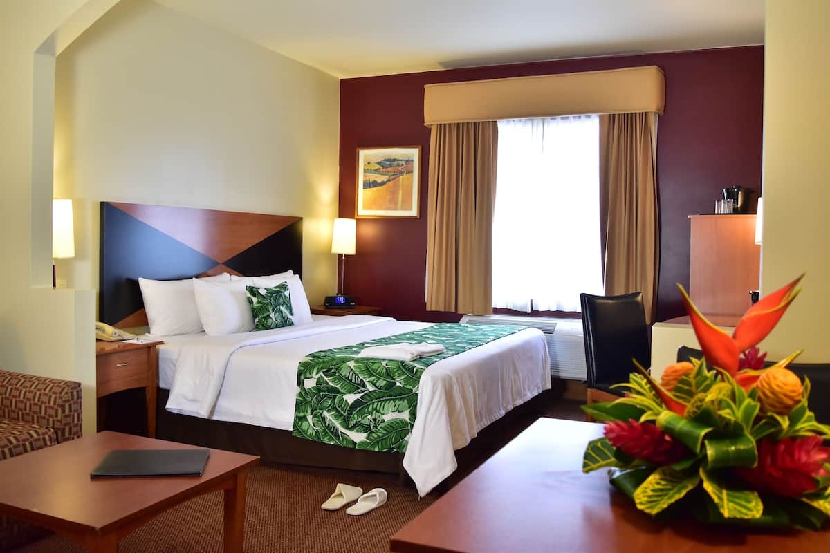 A hotel room with a bed, a desk, a chair, a small table, a lamp, and a decorative plant.