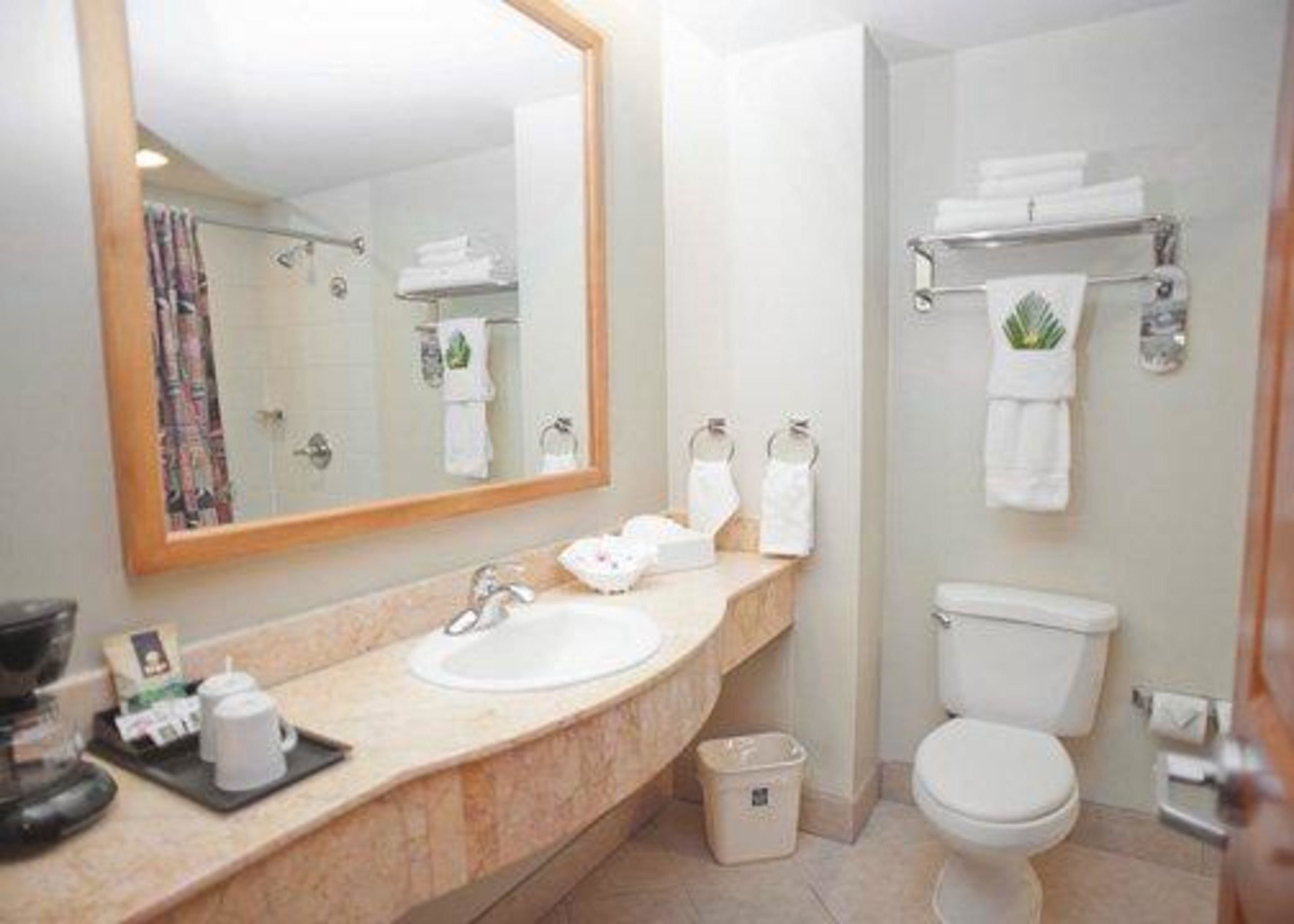 Une salle de bain équipée d’un lavabo, d’un miroir, de toilettes et d’un porte-serviettes.