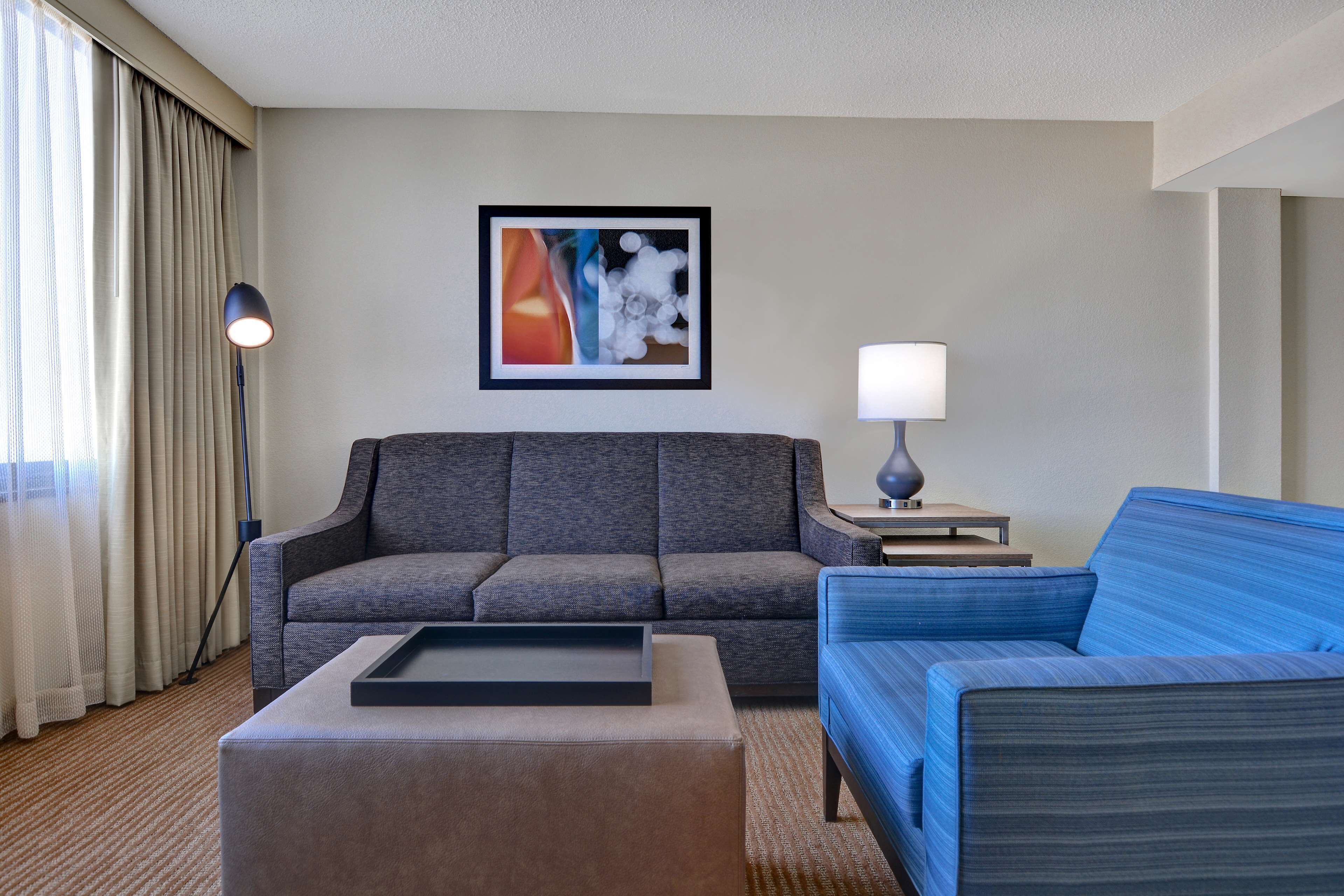 Una habitación de hotel moderna con un sofá gris, un sofá azul, una mesita y una lámpara.