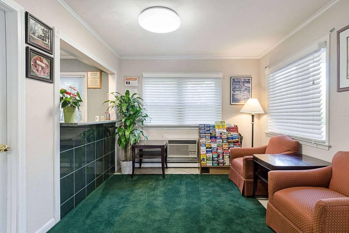 A room with a green carpet, a plant, a table with chairs, a bulletin board, and a window with blinds.