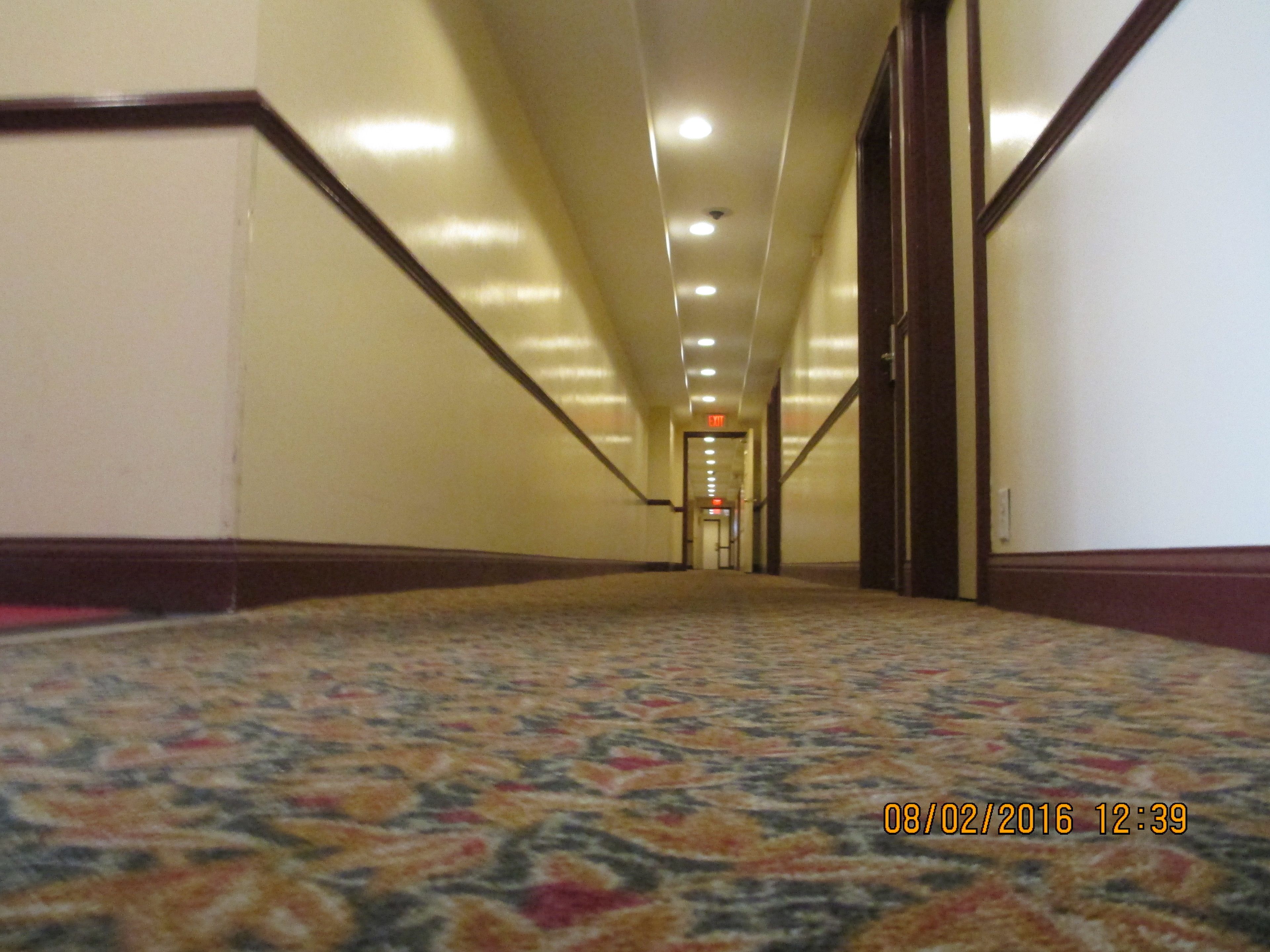 Un pasillo alfombrado con suelo estampado, paredes blancas y molduras de madera.